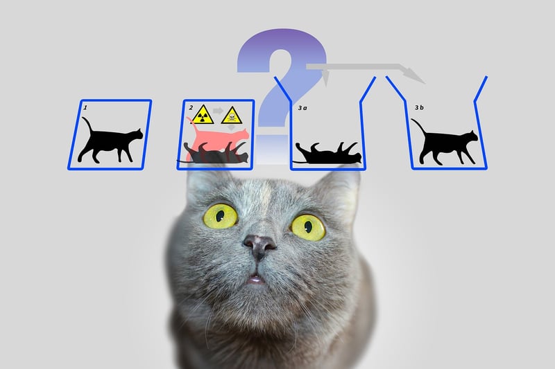 Quantum Translator